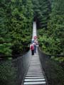 Lynn Canyon Suspension Bridge, Canada Stock Photographs