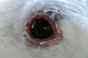 Gull's Eye, Wildlife