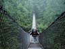 Lynn Canyon Suspension Bridge, Canada Stock Photographs