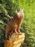 Chainsaw Art By Glen Greensides, Grouse Mountain