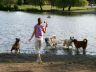 Vancouver Parks, Canada Stock Photographs