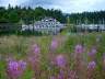 Vancouver Rowing Club, Stanley Park