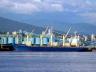 Ship Traffic Seen From Stanley Park, Ship Traffic Entering Vancouver Harbor Seen From Stanley Park