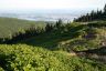 Pictures Of The Grouse Mountain, Canada Stock Photographs