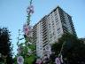 Beach Apartments, Canada Stock Photographs