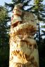 Chainsaw Art By Glen Greensides, Grouse Mountain