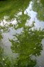 Lost Lagoon, Canada Stock Photographs