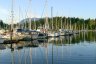 Sailing Boats Coal Harbour, Canada Stock Photographs