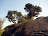 Rocks And Trees At Whytecliff Park, Canada Stock Photographs