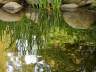 Lost Lagoon, Canada Stock Photographs