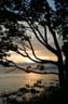 English Bay Sunset, Canada Stock Photographs