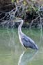 Lost Lagoon, Canada Stock Photographs