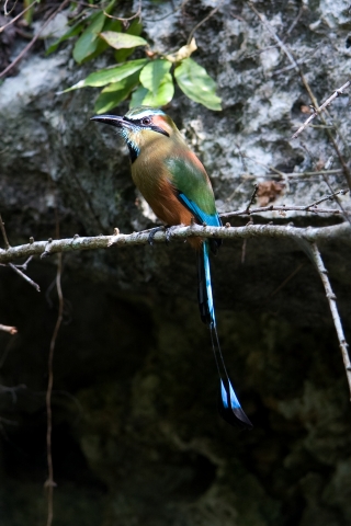 slideshow