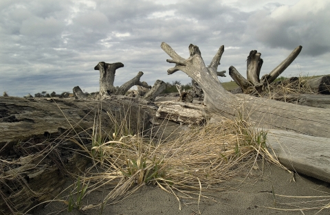 slideshow