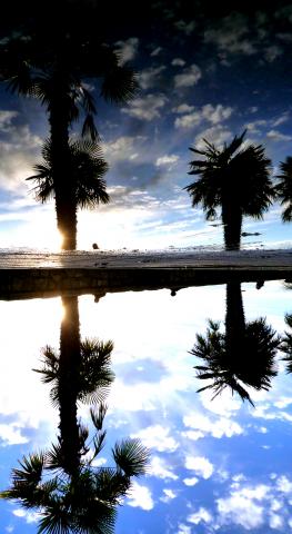 slideshow