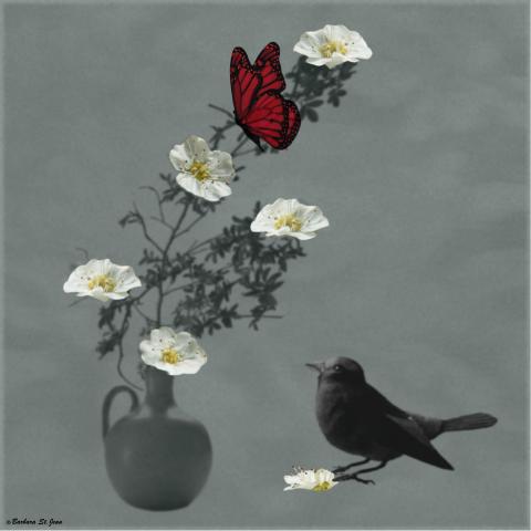 slideshow
