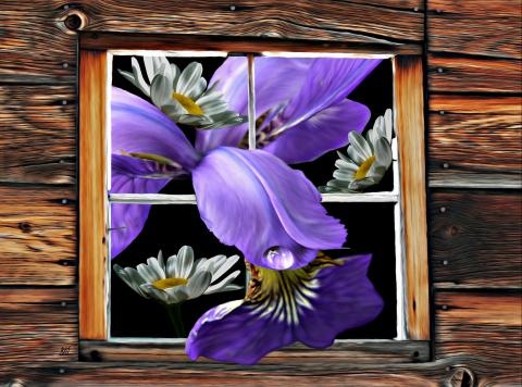 slideshow