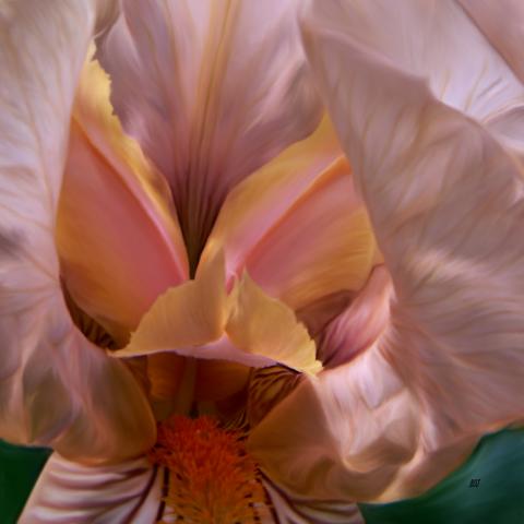 slideshow