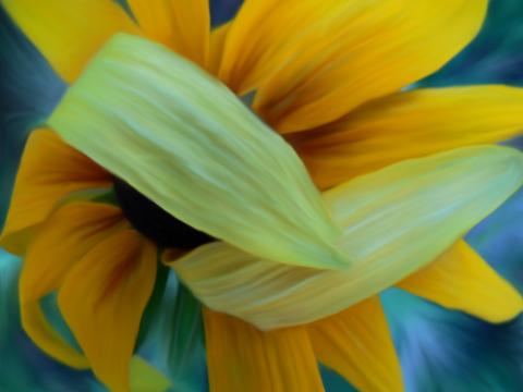 slideshow