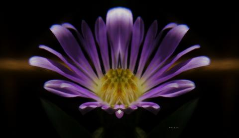 slideshow