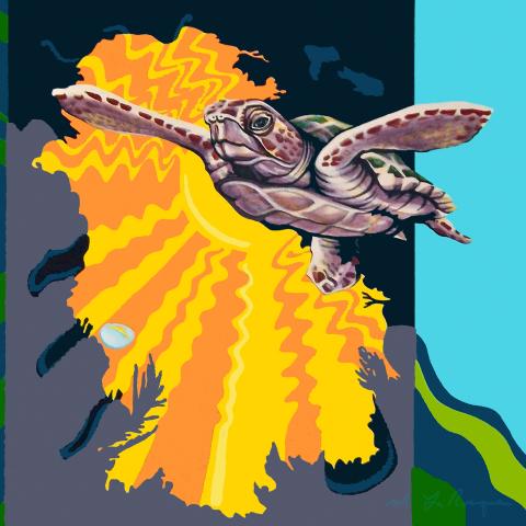 slideshow