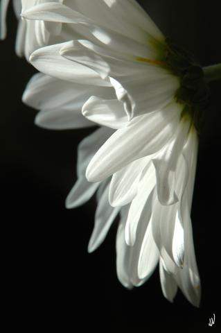 slideshow