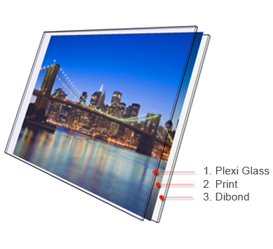 Plexi Face Mount Plexi Face Mount