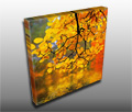 A beautiful autumn scene of a yellow canopy of leaves A beautiful autumn scene of a yellow canopy of leaves