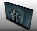 A spooky bare tree silhouette, perfect for Halloween A spooky bare tree silhouette, perfect for Halloween