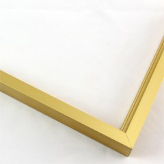 3/8 " traditional metal frame. This slim moulding has a hooked profile and is muted gold in color. It has a frosted satin finish and reflects diluted light.

Nielsen oem2fg Profile