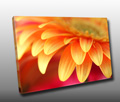 A beautiful close up of a bright orange flower A beautiful close up of a bright orange flower